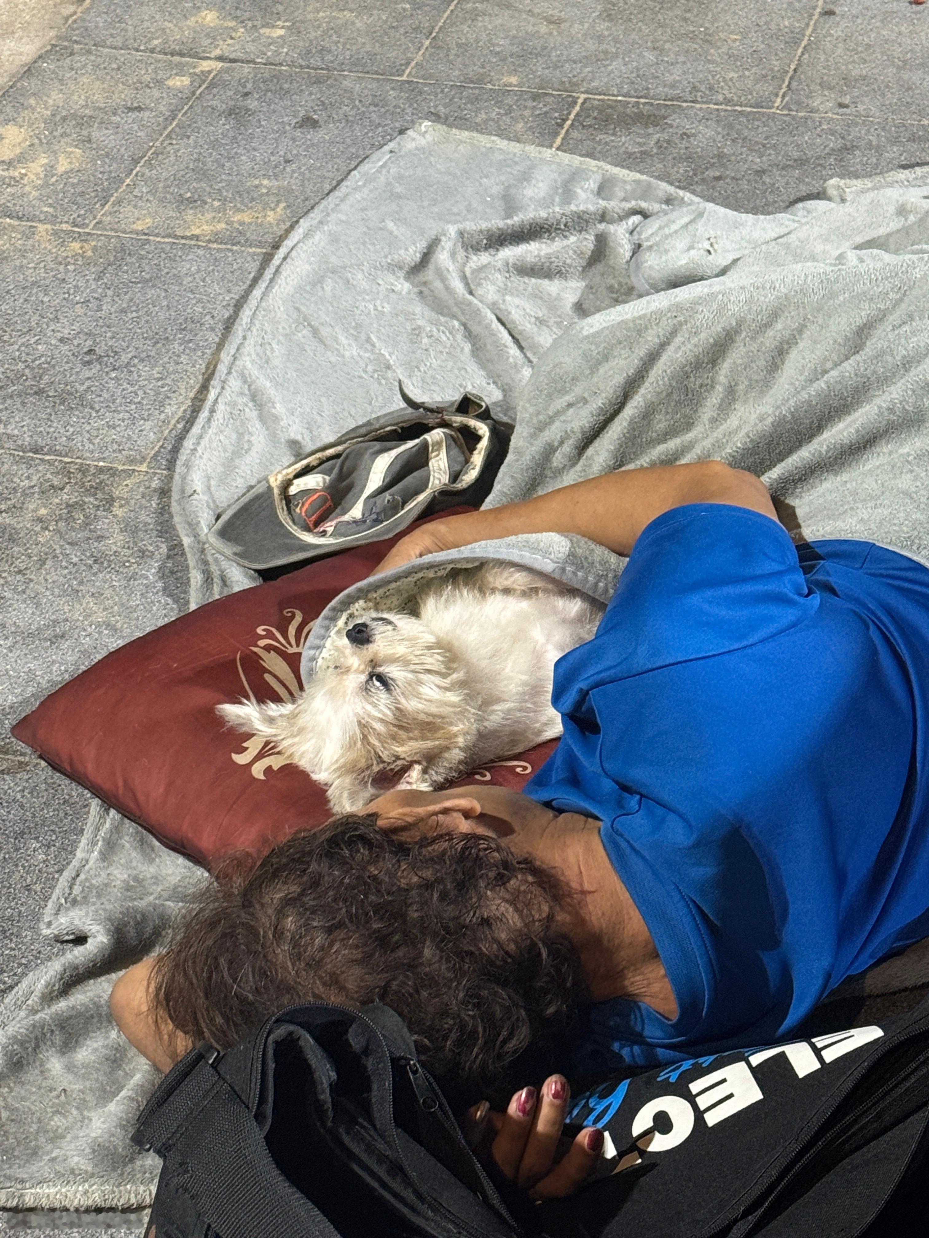 虽然是流浪狗，至少有一个很爱它的主人 泰国·芭提雅海滩