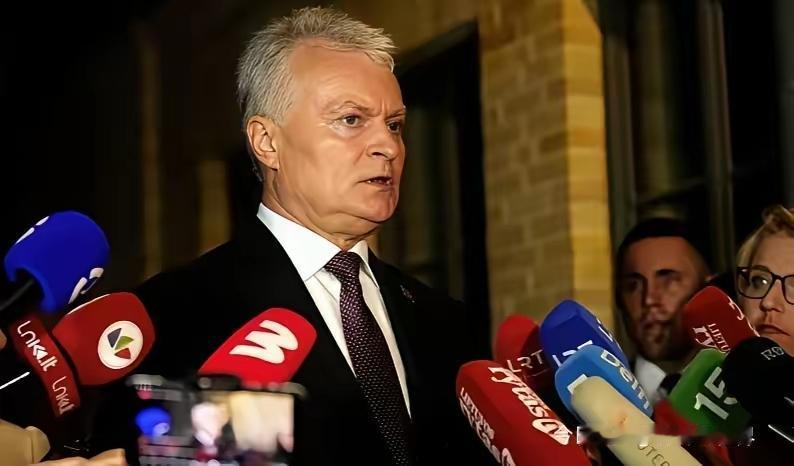 英芬加接连访华谈合作签大单，立陶宛总统瑙塞达这下是真坐不住了，隔空喊话想访华修复