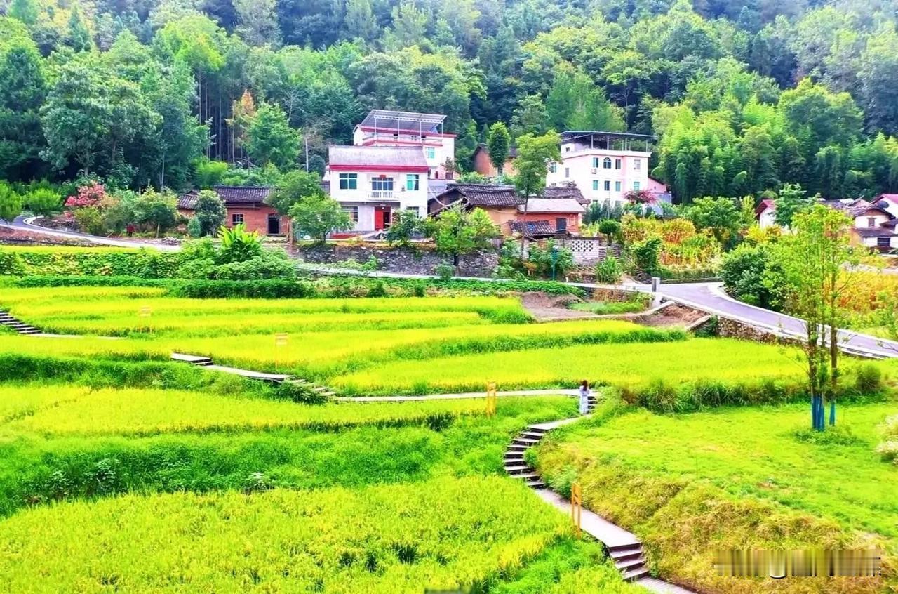 12月15日，生态环境部土壤生态环境司公示首批美丽乡村先行区建议名单，全国23个