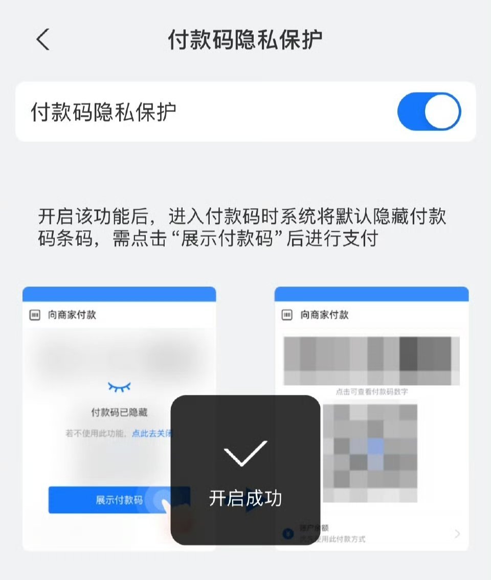 你设置付款码隐私保护了吗 看到盗刷的新闻才发现自己没有打开，记得从首付款的右上角