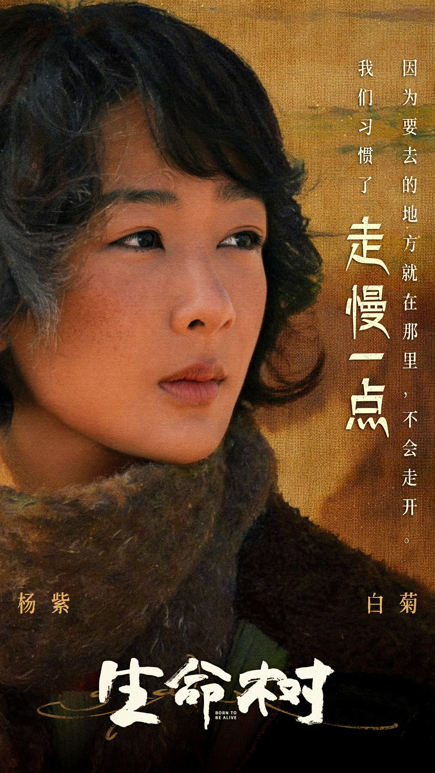 杨紫值得生命树值得白菊值得恭喜白玉兰最佳女主角杨紫！！！！！！白玉兰白玉兰内场 