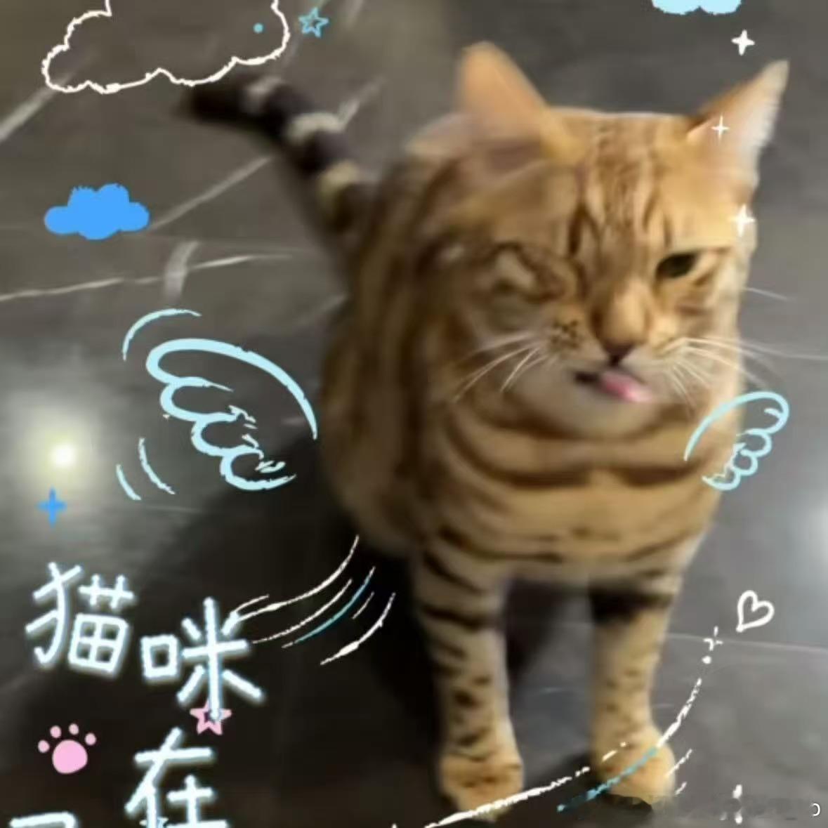 一模一样吧简直 
