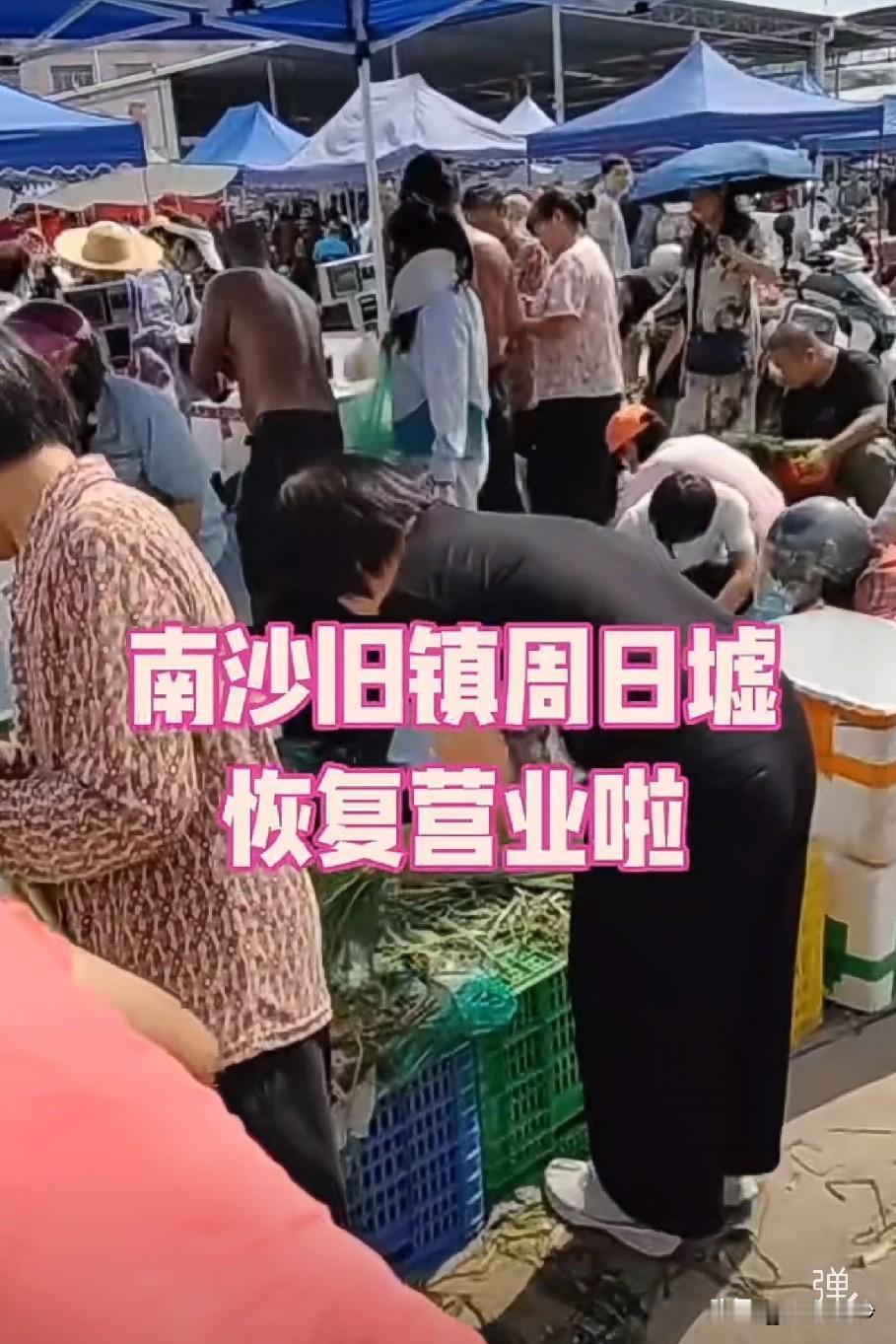 南沙旧镇周日墟终于要恢复营业啦，就在10月25日。位置就在观海美墅旁边，之前那临