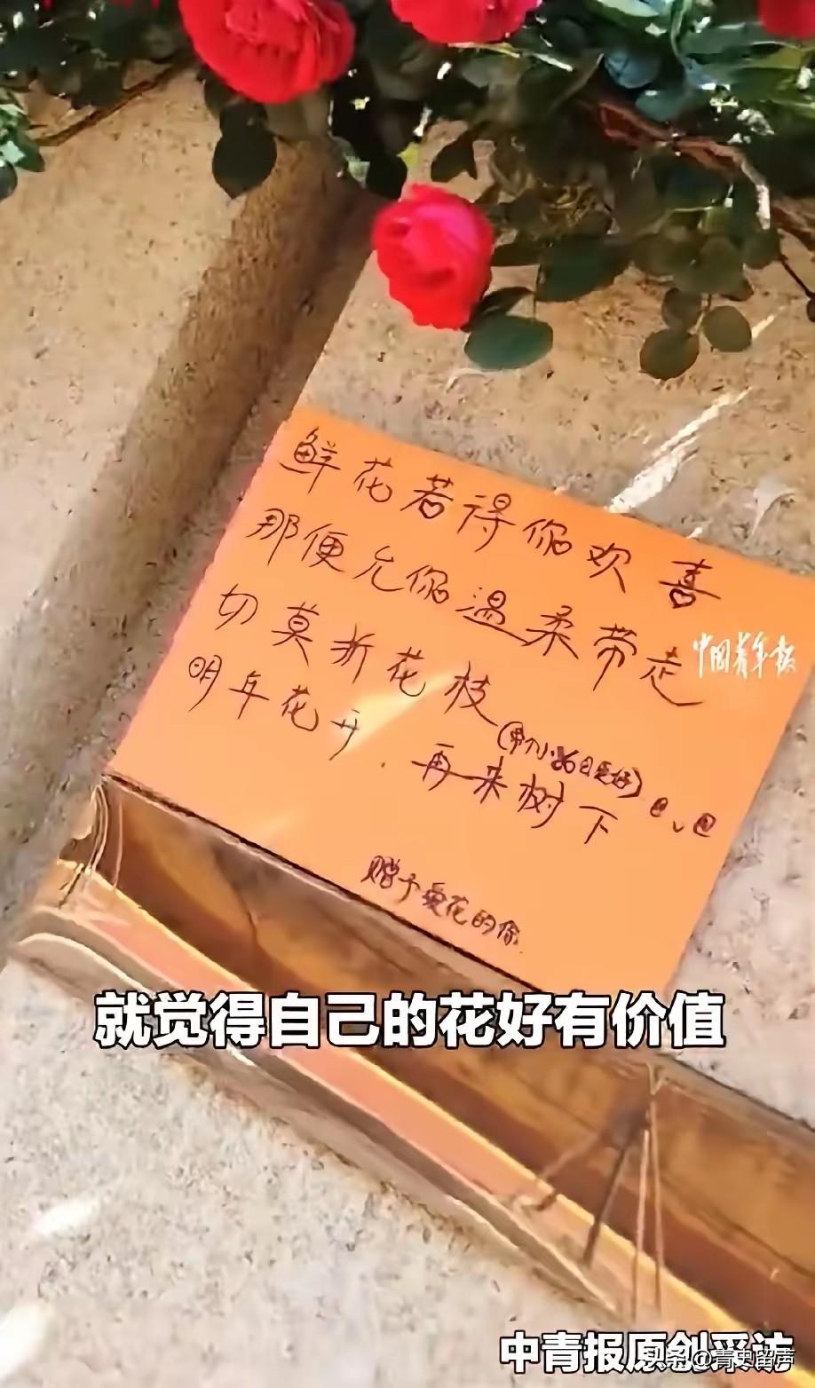 “太感动了！”5月20日，山东，一位老爷爷为了给妻子过节，带上剪刀和布袋，小心地