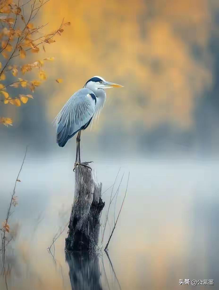 孩子不爱写作业，这样引导最管用、不鸡飞狗跳
 
1. 先共情，不指责
不说“你怎