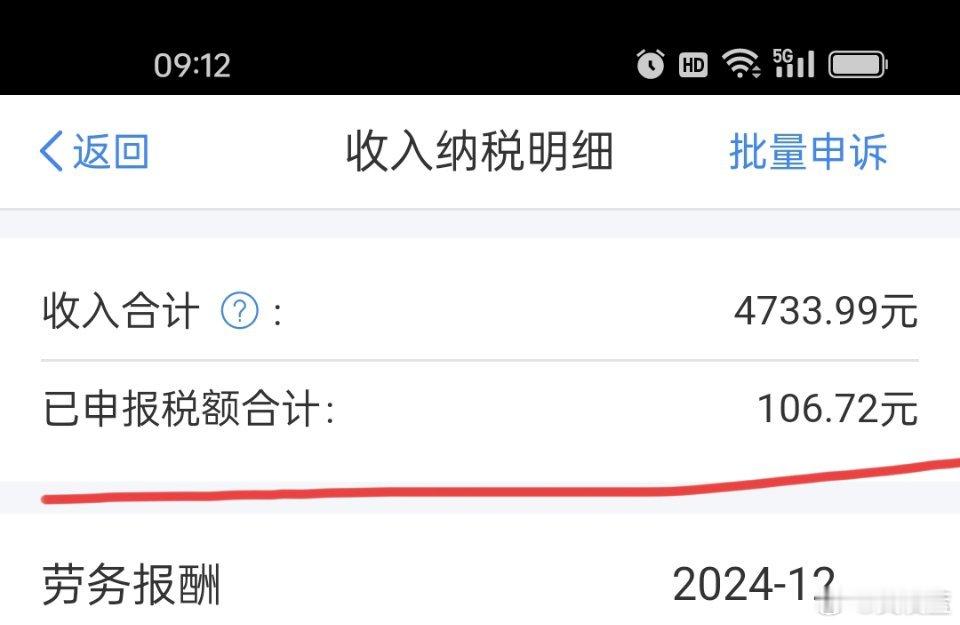 退税 哈哈，年收入4千多，退税100 