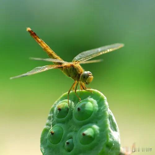 五千年后地球上还会有美国吗?
五千年？有人说中国的文明史是五千年，当然，考古证明