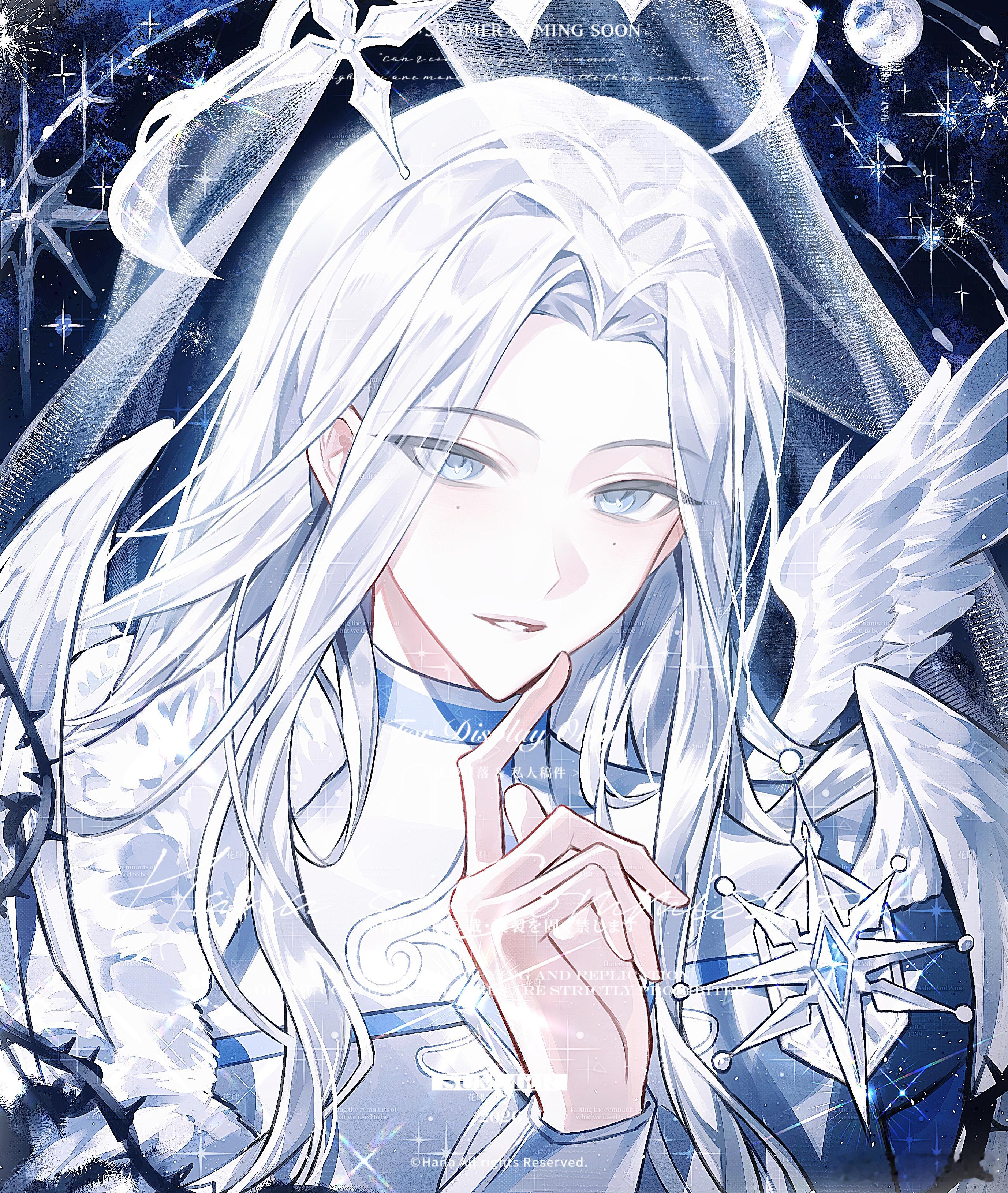 🪽  专栏 · AraFlair