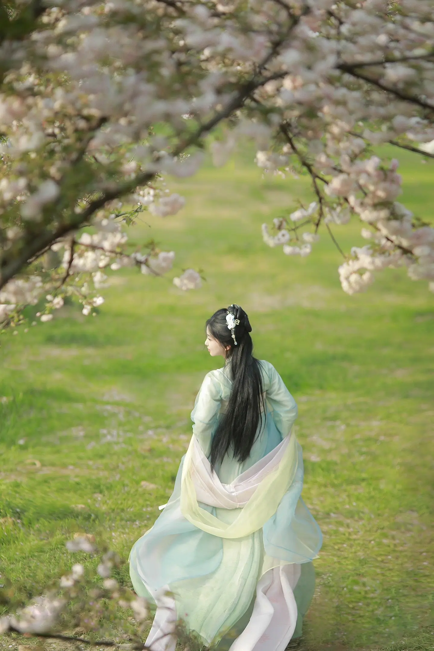 “待到山花烂漫时，她在丛中笑”  