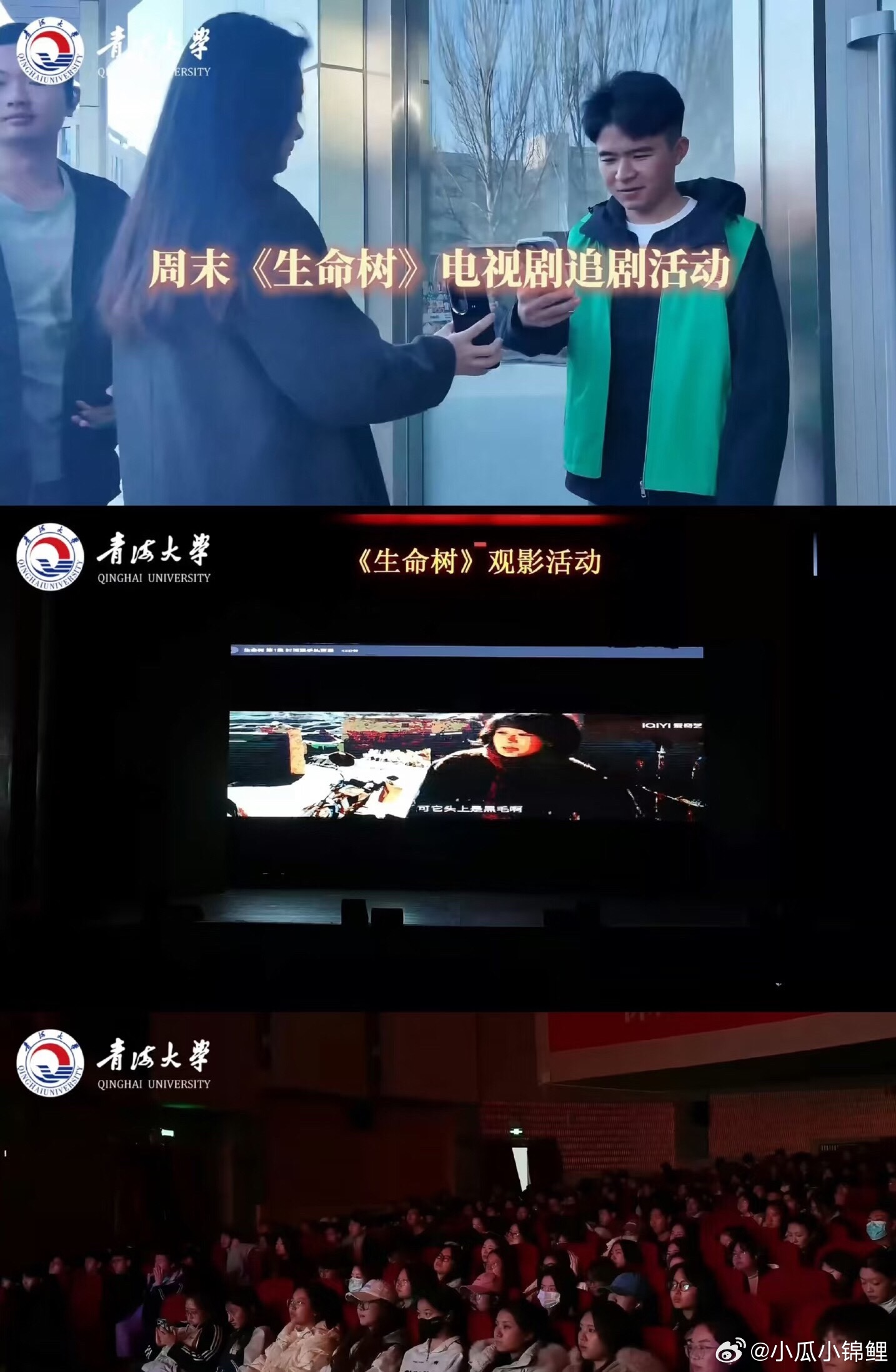 青海大学组织看生命树树立正确价值观 