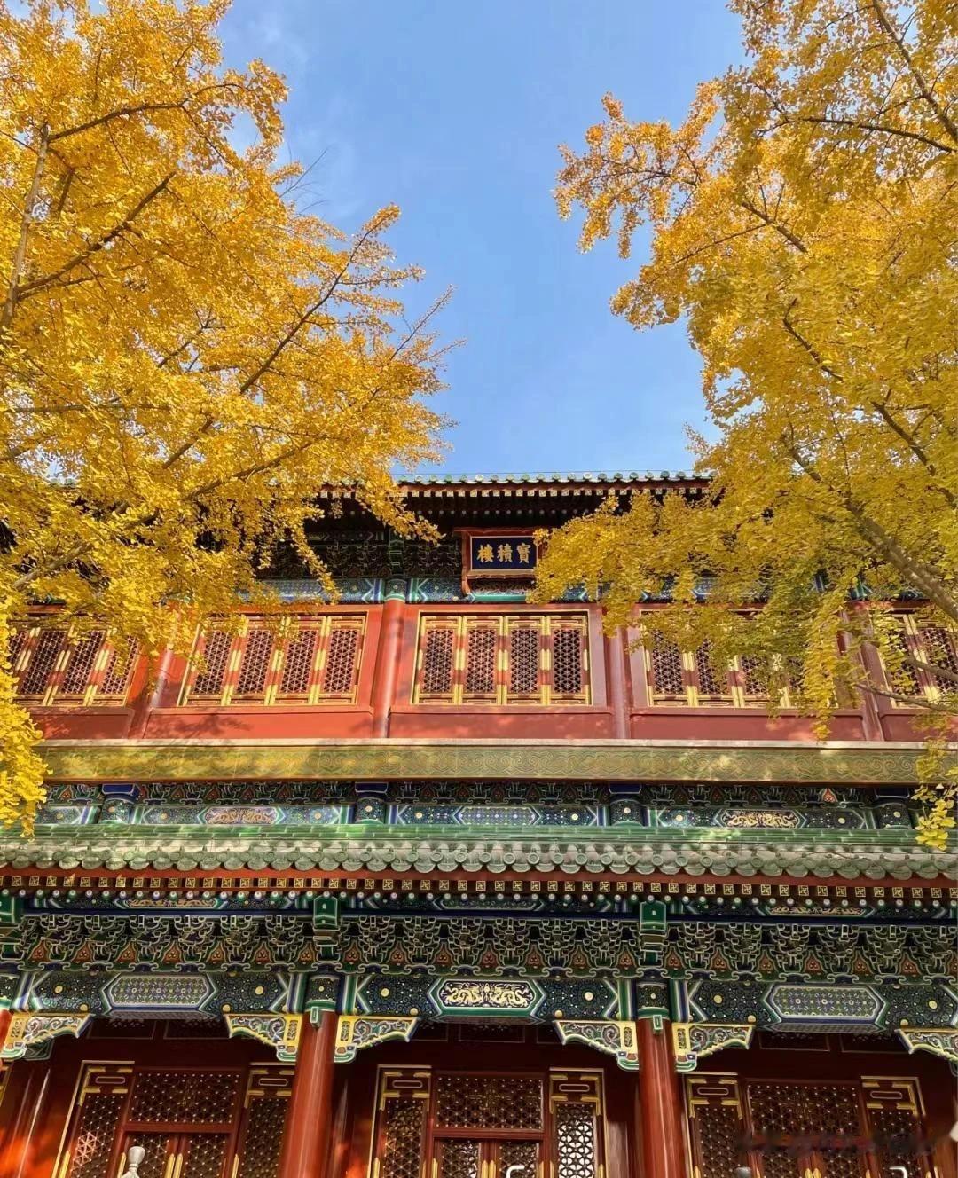 秋天，是一个积淀着生命成熟的季节，是一个曼妙而充满希冀的季节，是一个红得深邃又晶