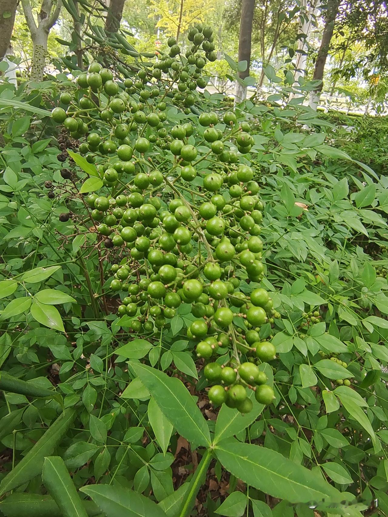 处事感悟：

拿你善心当恶意
多言一句都不必
真心留给善良人
闲话莫对俗人提