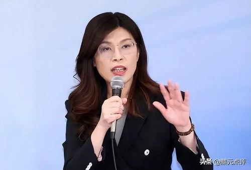 自郑丽文担任国民党主席后，她推动两岸交流、坚持“九二共识”、反对“台独”的路线，