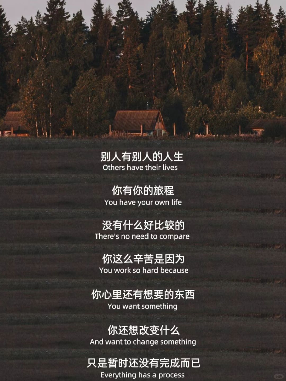 突然被这段话治愈了