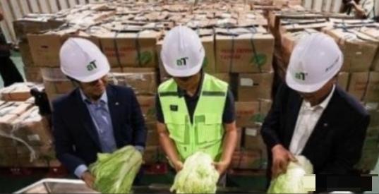 “中国要被我们拖垮了！”2024年，韩国上千人拒绝吃从中国进口的中国白菜，本想给