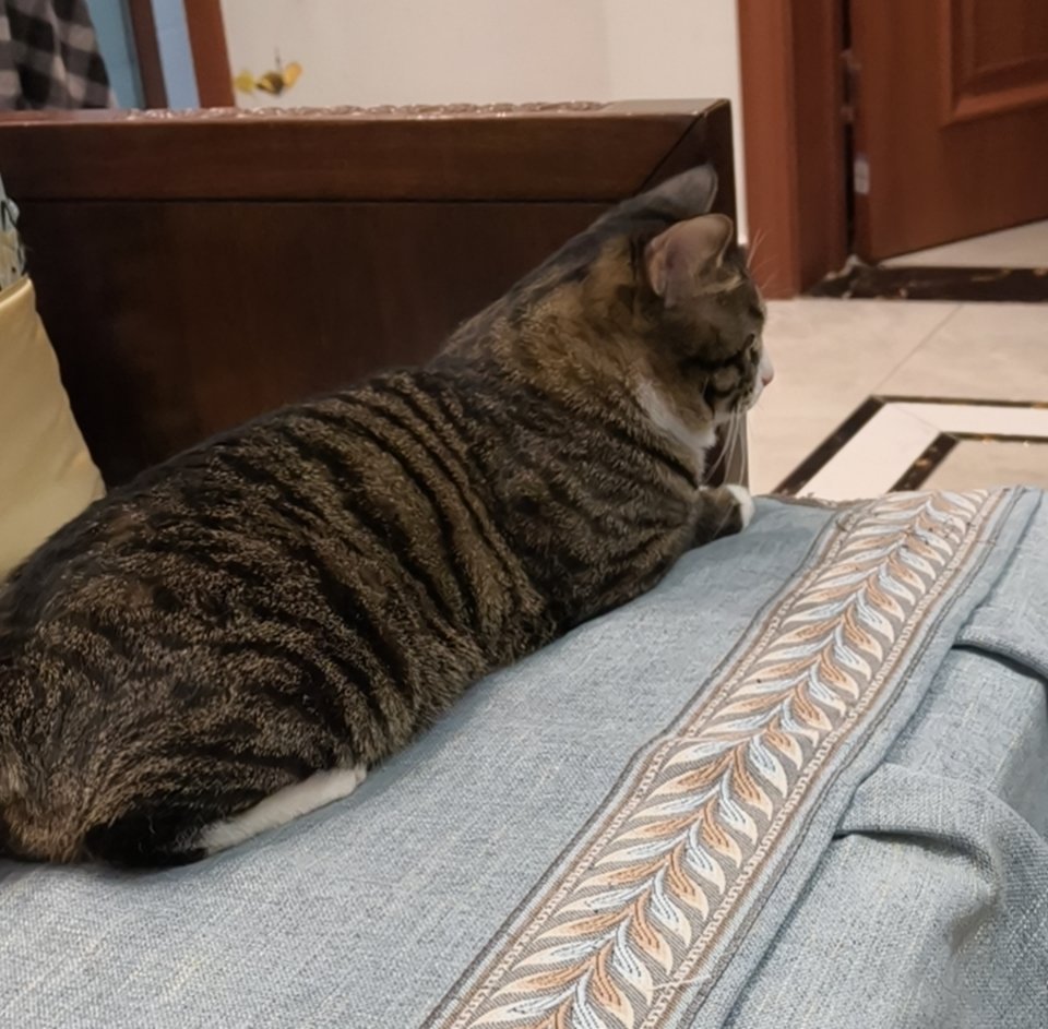 大学生高铁怒吼熊孩子到底是谁错了父亲问儿子要2000元投资款被拒 从大学生的角度