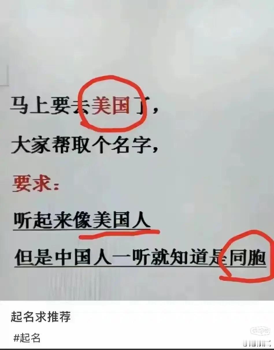 帮忙取个名字！马上去美国了 ​​​