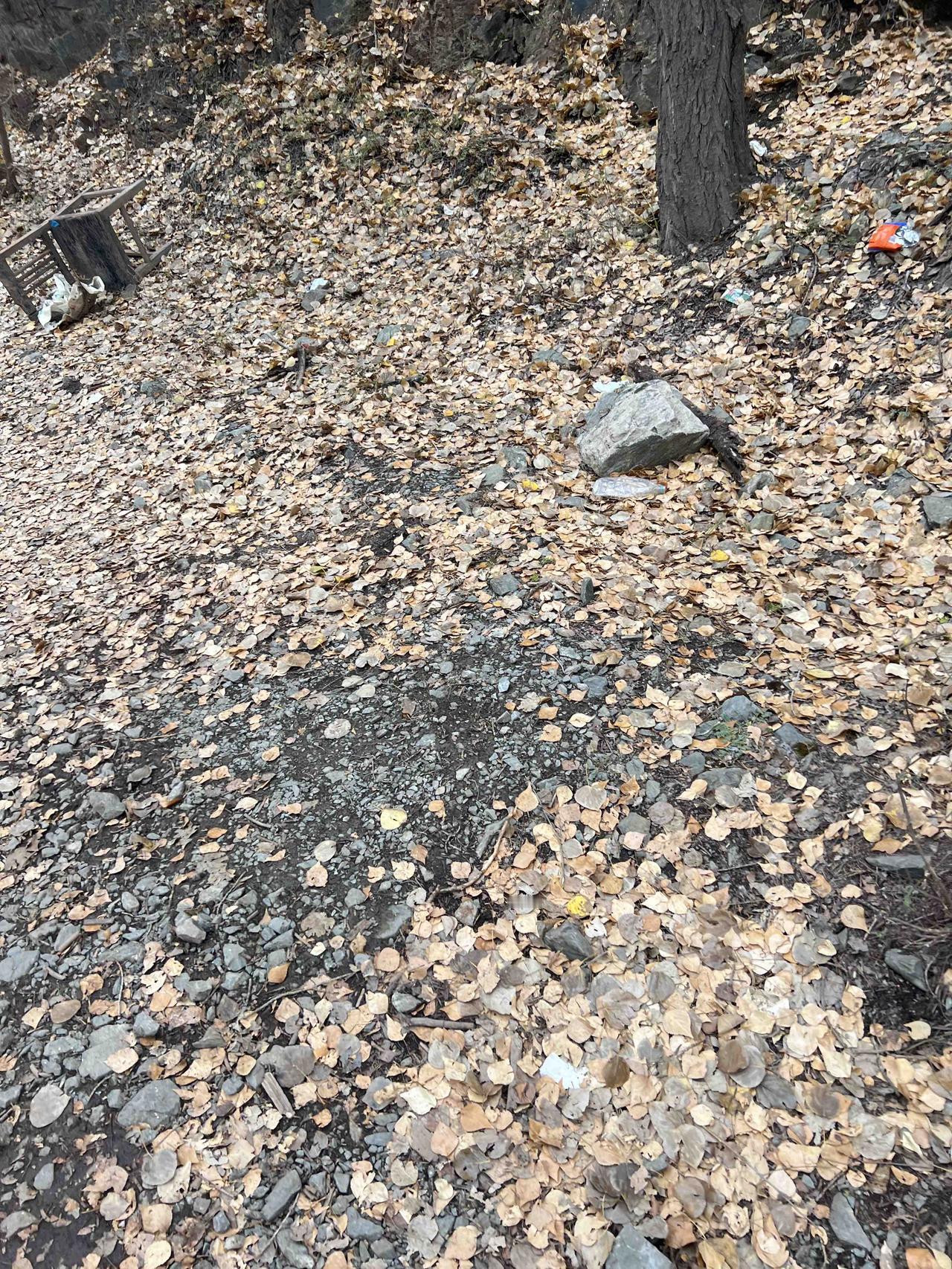 今天天气预报报道会有狂风，但老同学们难得一聚，就算刀山火海也得赴约！我驱车八十多