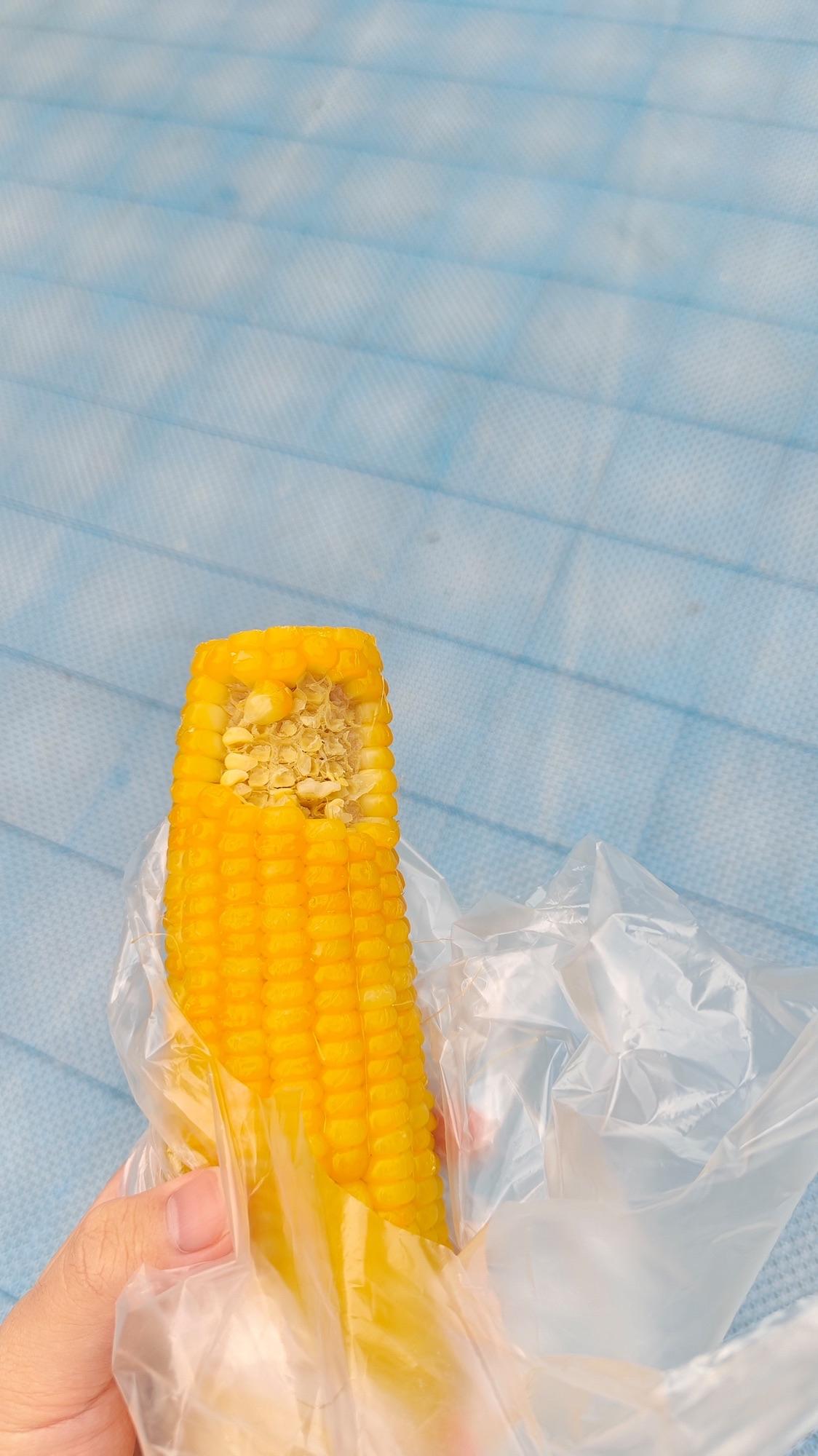 你们爱吃黄玉米还是白玉米