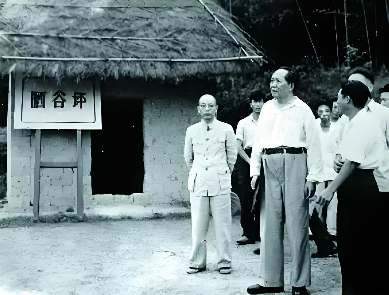 你有没有想过，一个带领亿万人民站起来的伟人，在父母的坟前，会说什么？

1959