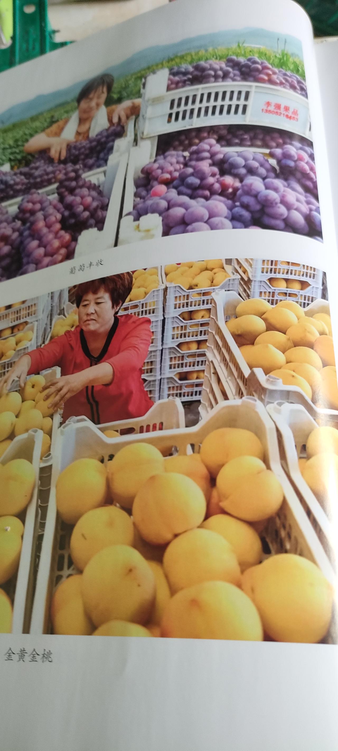 中国不做超级大国，
中国主张国不在大小，
一律平等，
中国是世界和平的支撑！
祝