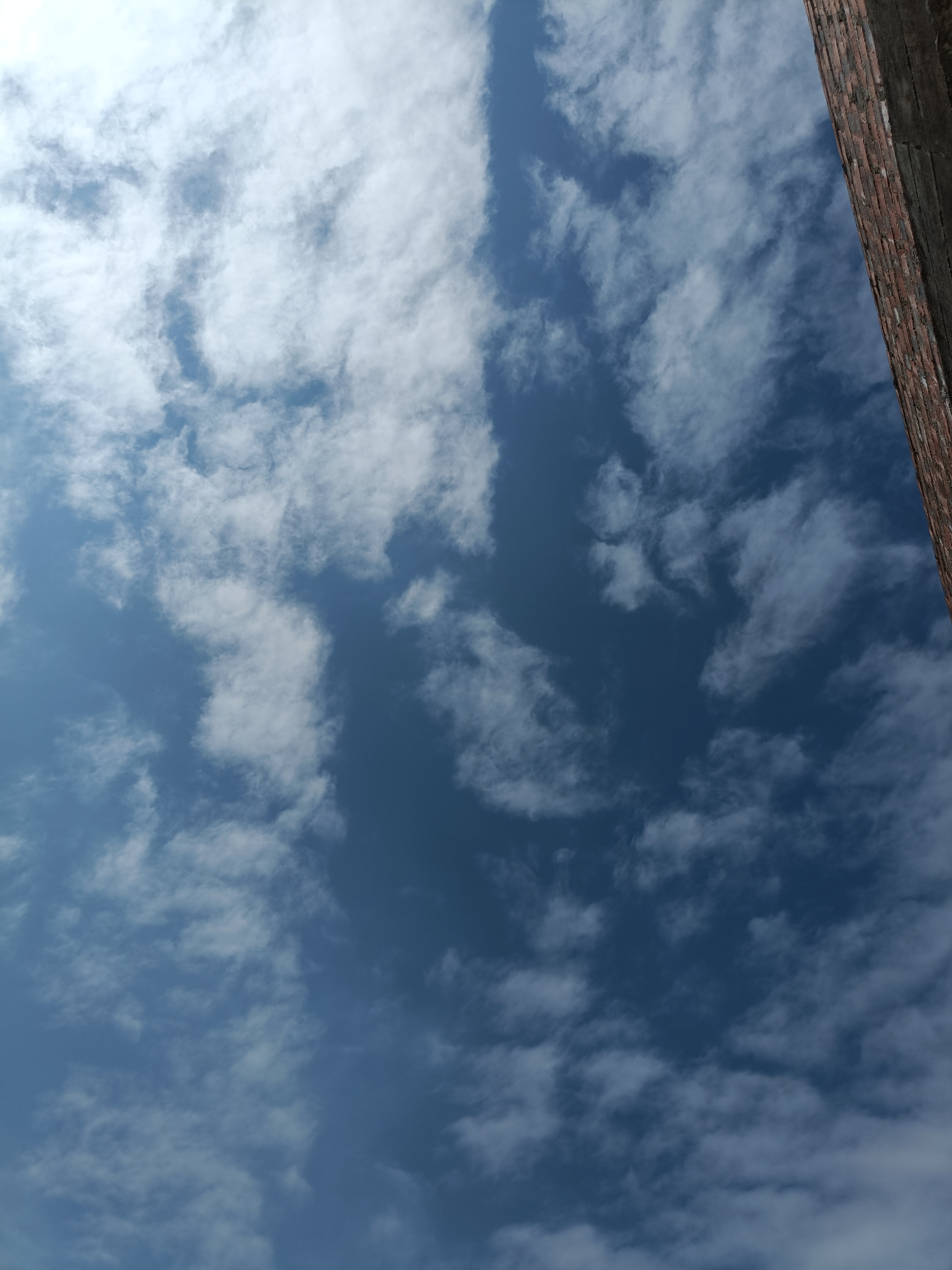 分享图片 ​​​