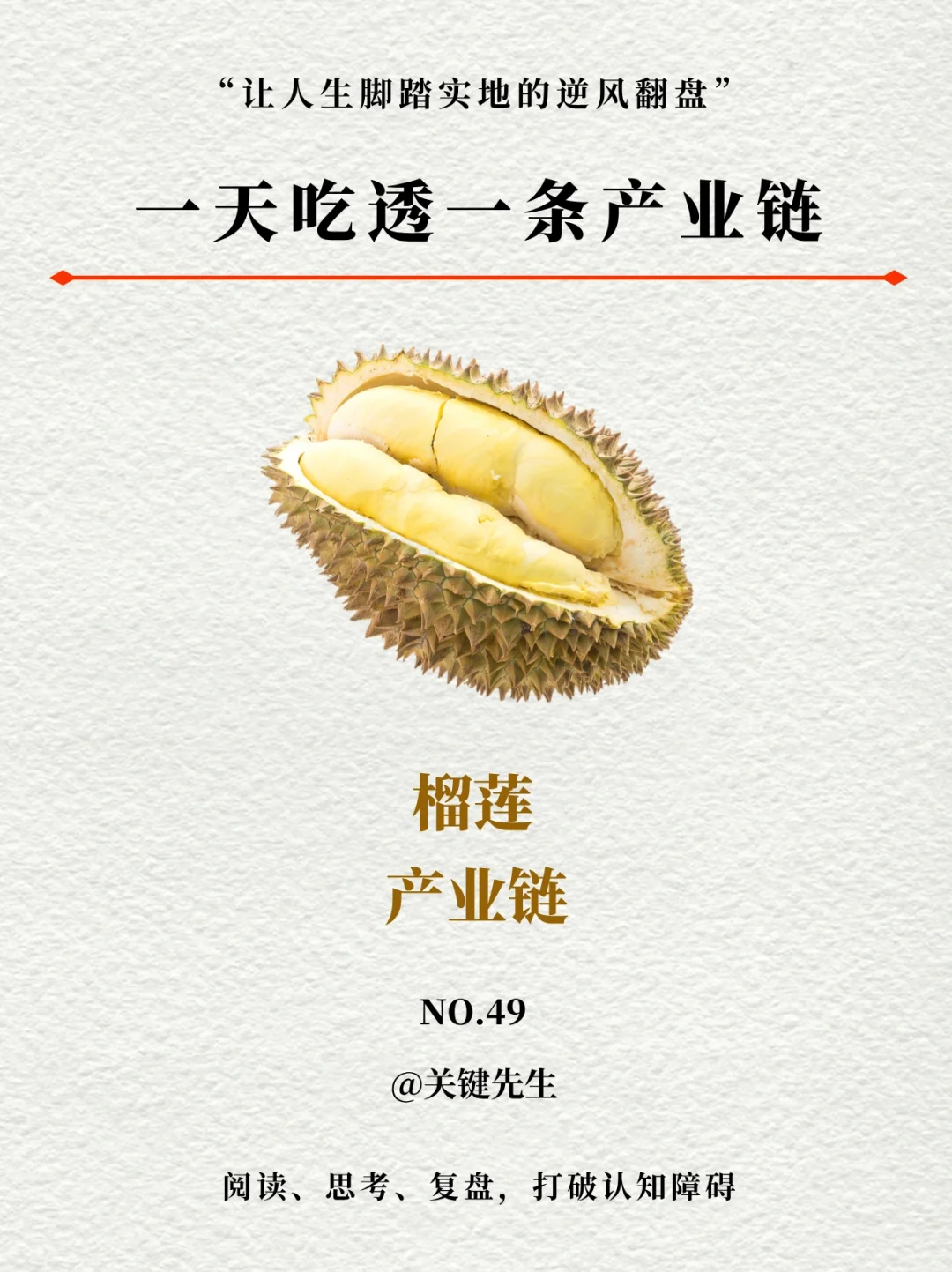 一天吃透一条产业链 NO.49 榴莲产业链
