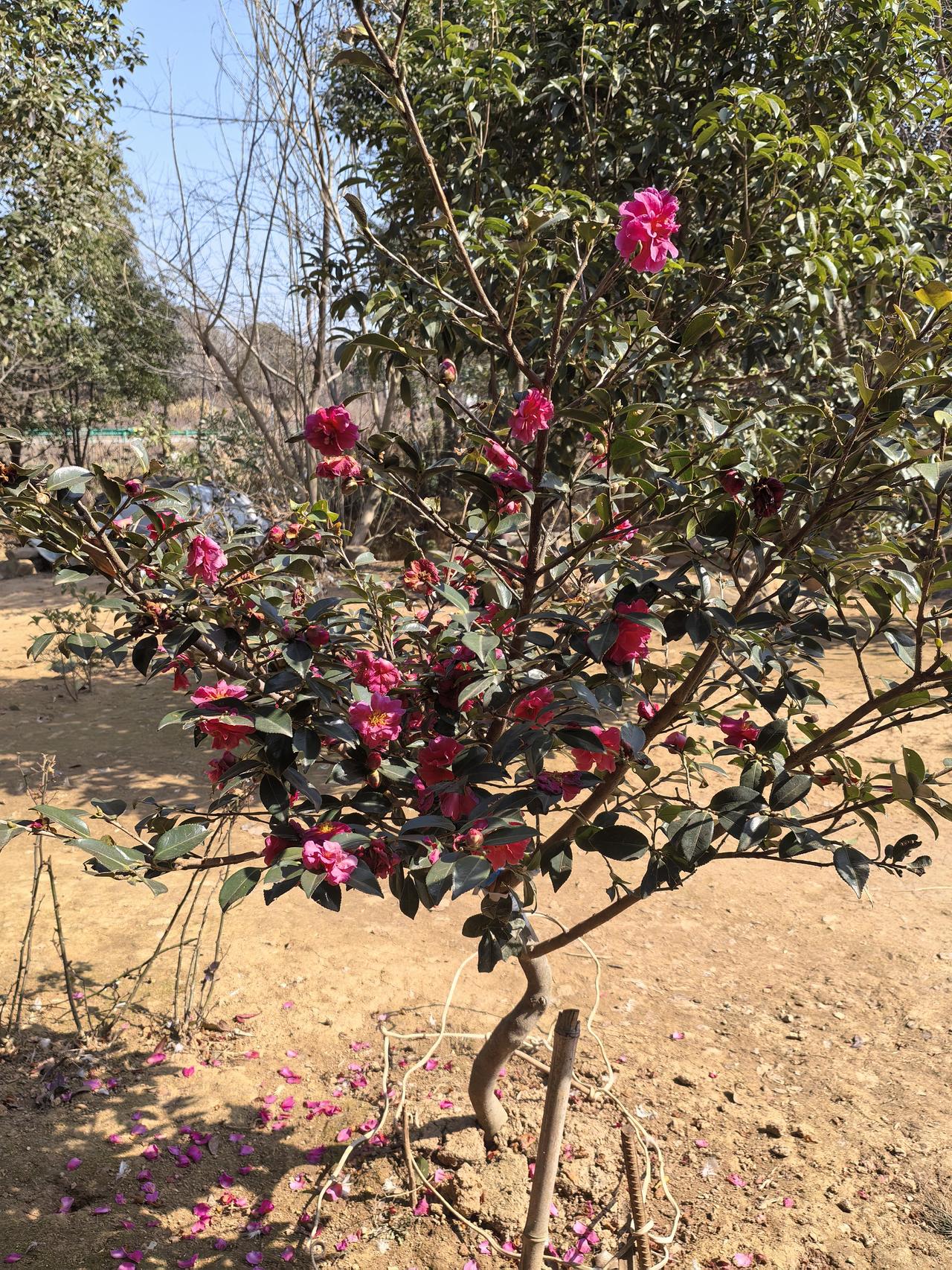 世界是个复杂又迷人的大舞台。它一半公平一半残忍，努力会变底气，偷懒会成阻碍；一半