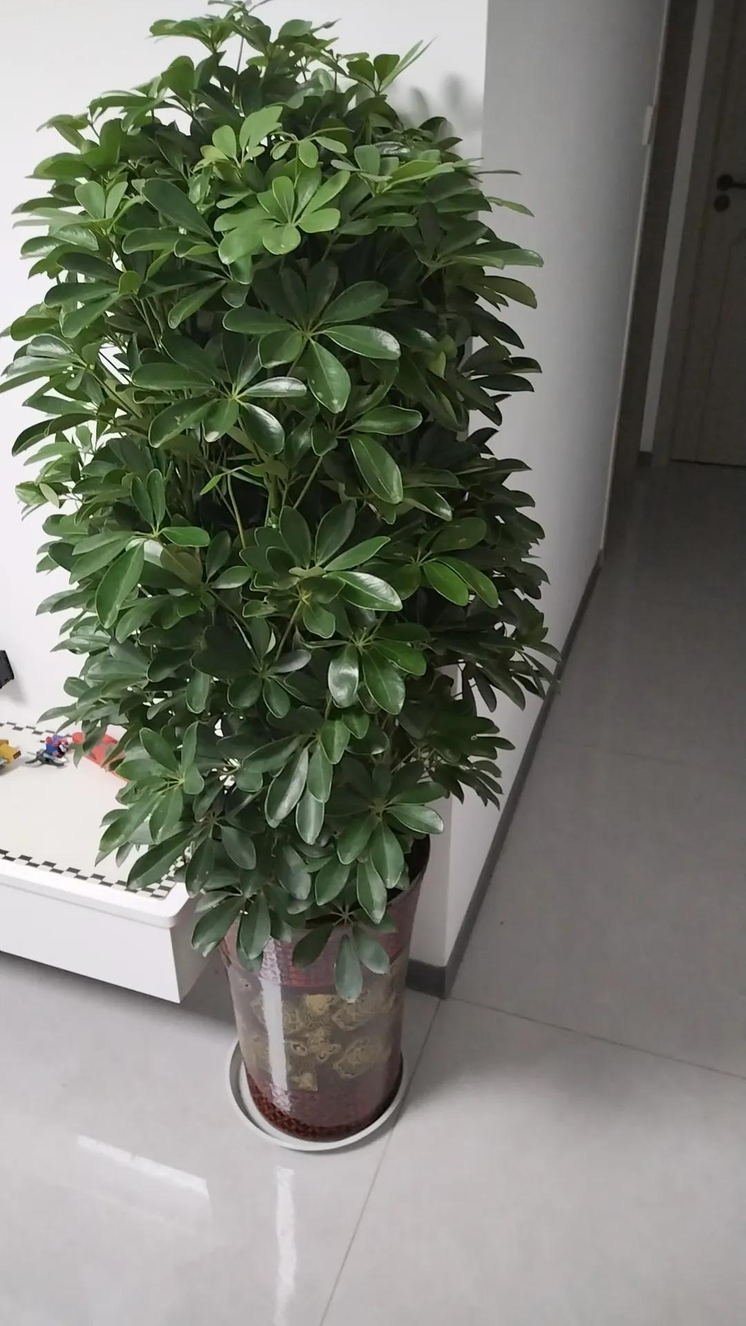 夫妻生活，是天天待一块好，还是分开好？
网友热评1：宁肯日夜斗嘴，也不情愿独守空