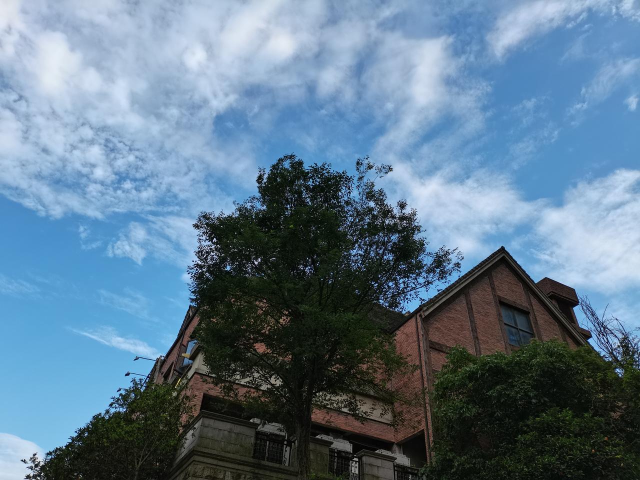 新疆著名作家刘亮程说，
我们太弱小，
所以才想干出些大事业来抵挡岁月。

可我们