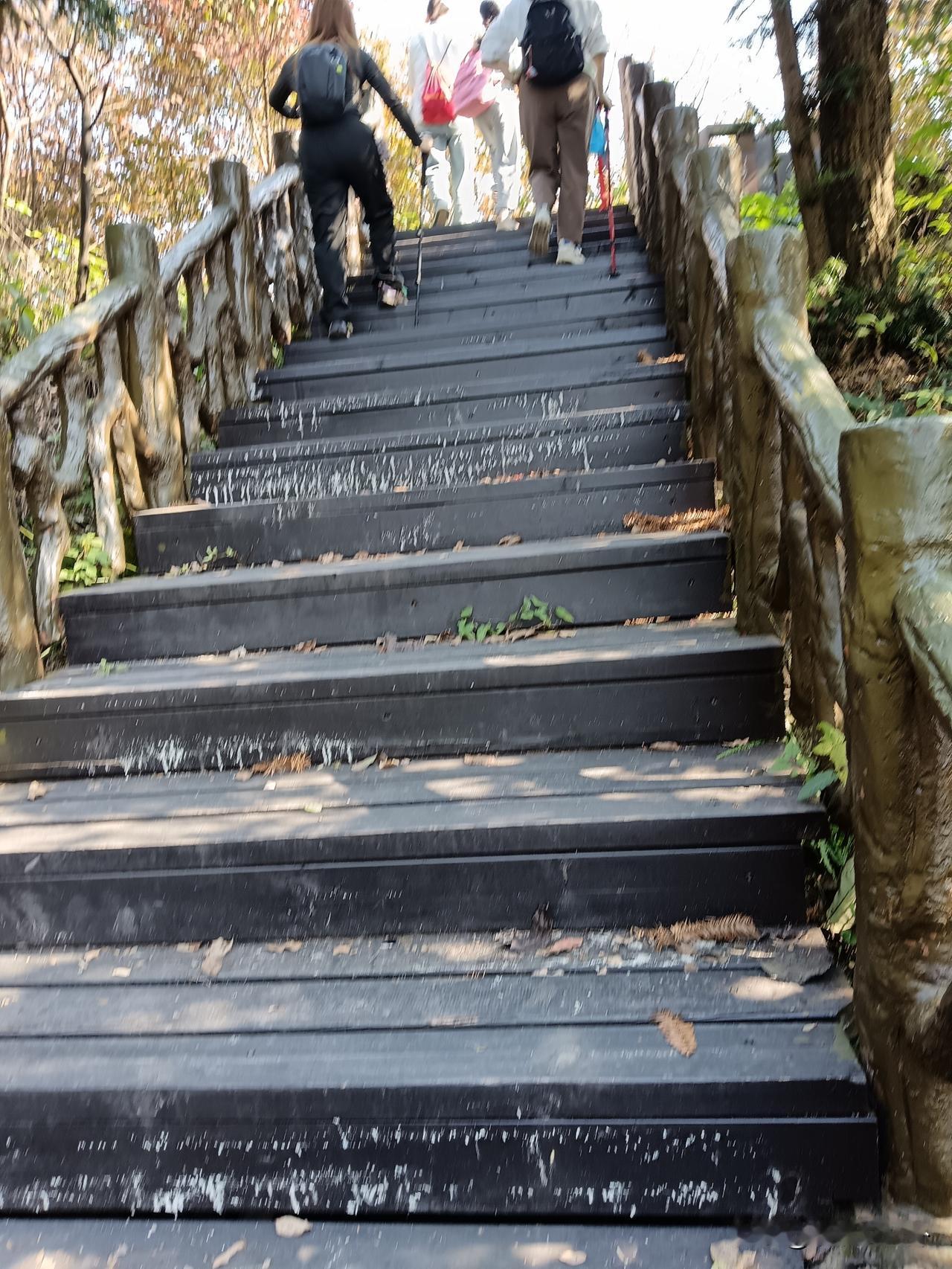 辅导小孩作业鸡飞狗跳