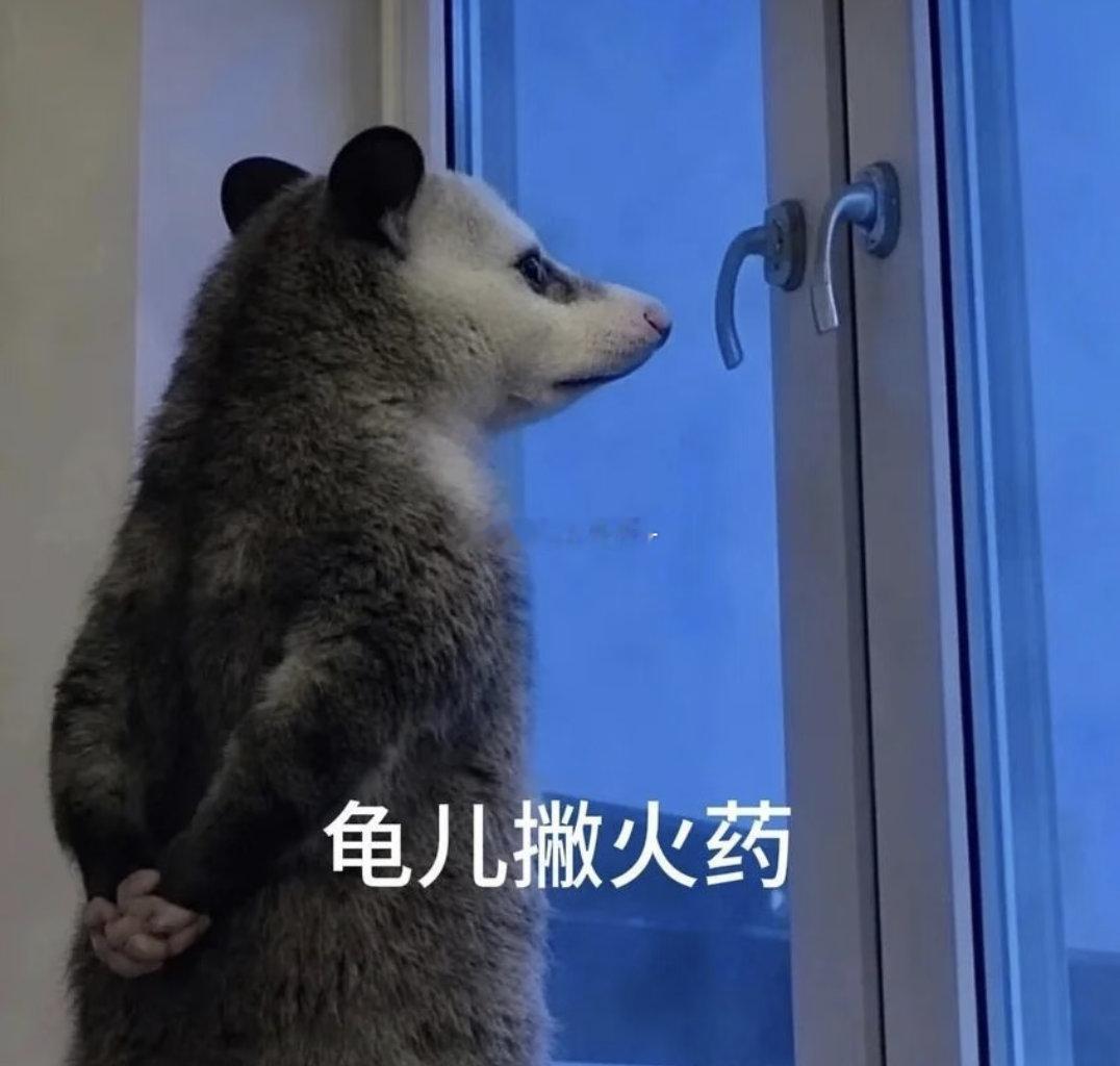 最近双了点人，你们的问题