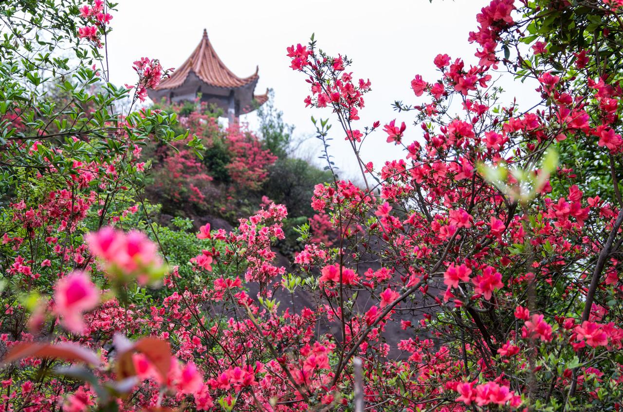 周日突发重磅消息，4月13日看盘重点剖析！
周日重磅消息如下：
一、据媒体报道，