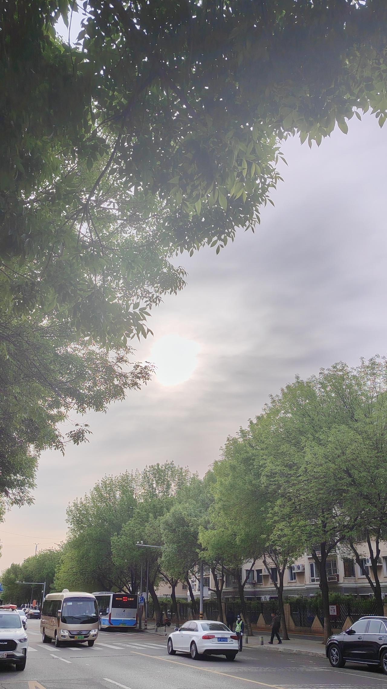 警句分享：凡事不必太较真，糊涂一点，快乐多一点。

小故事：一位老人在菜市场买菜