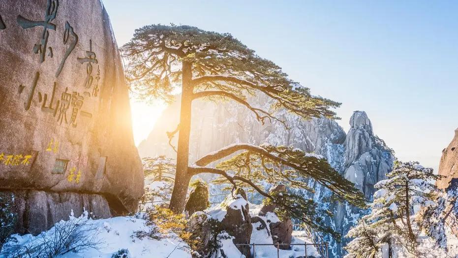 登上黄山才发现水墨画还是保守了




12月3日，大象新闻等媒体报道，网友在游