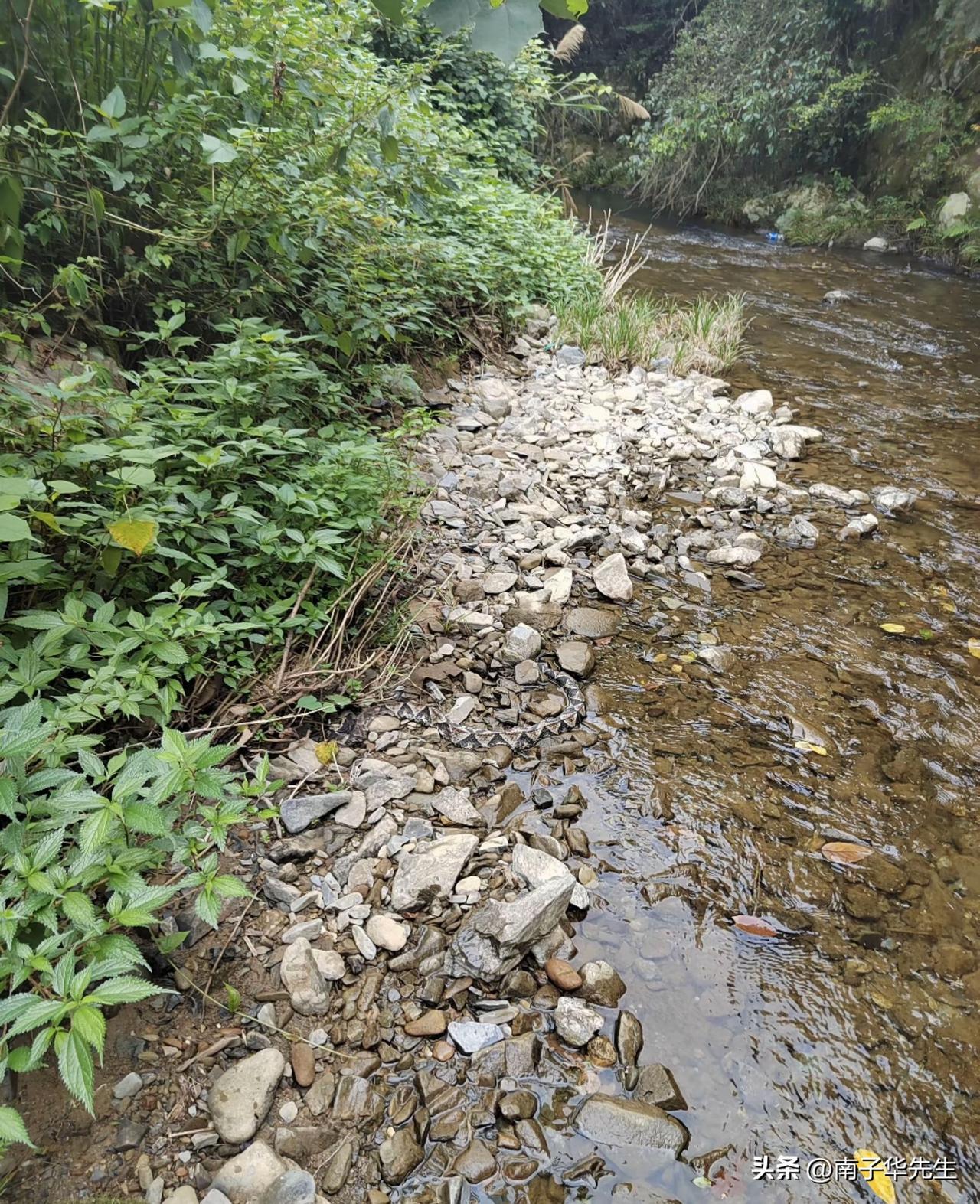 我今年六十三，退休也快三年了。

退休以来，心里一直盘算着一件事，走遍整个新疆。