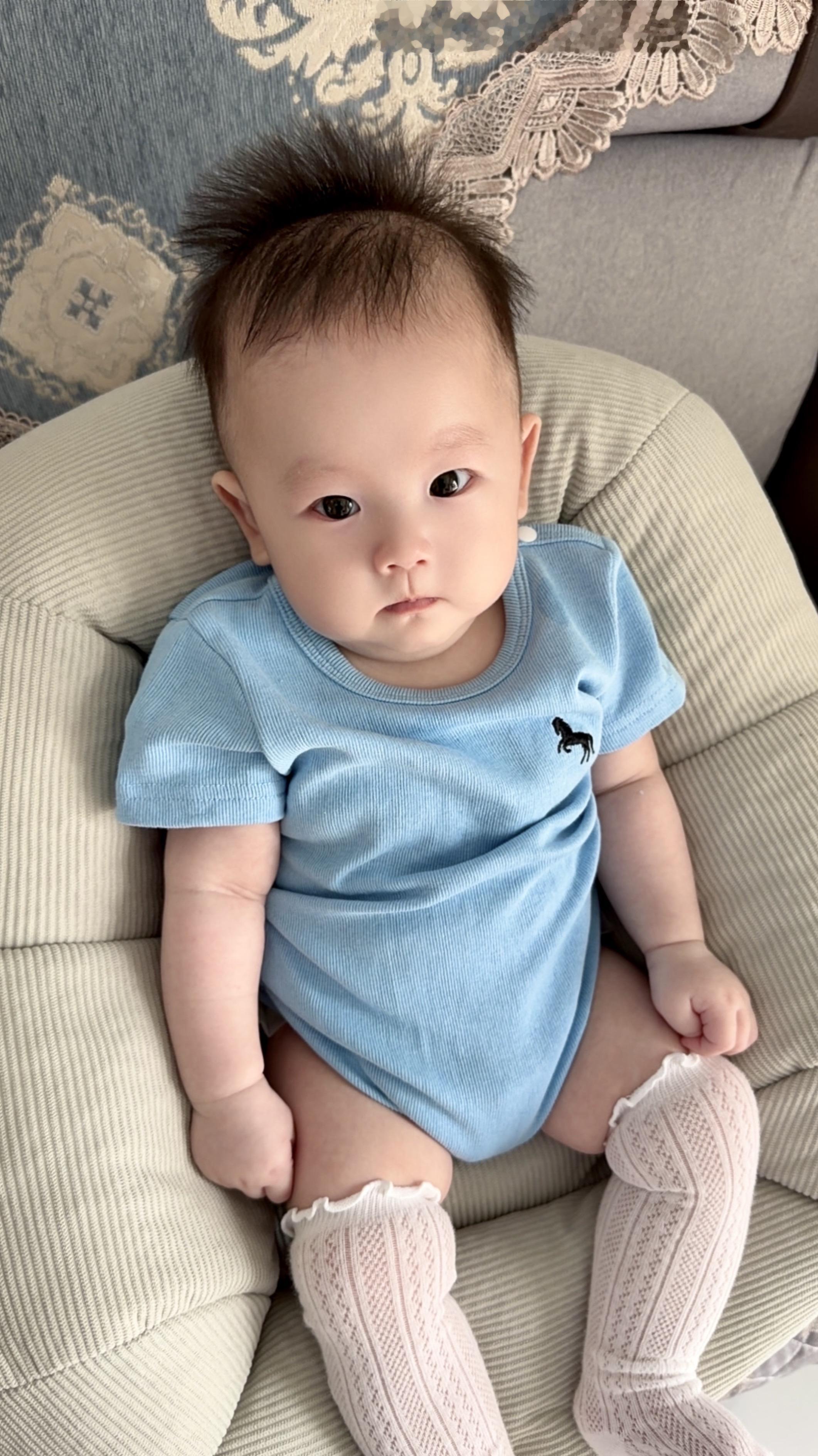 小炸毛你在委屈什么