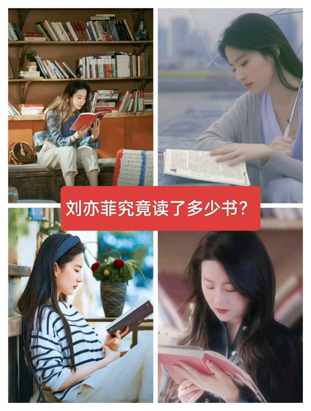 刘亦菲书单来啦