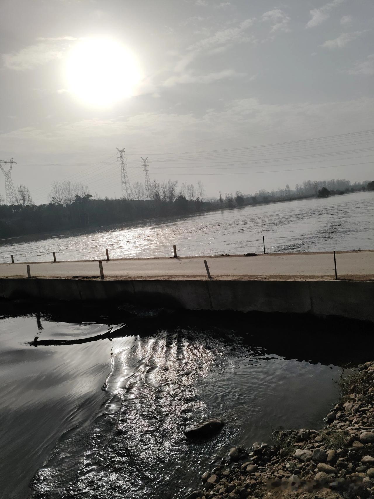 今天出来玩，撞见这片河景还挺有意思。天上太阳晃得人睁不开眼，河面上光粼粼的，风一