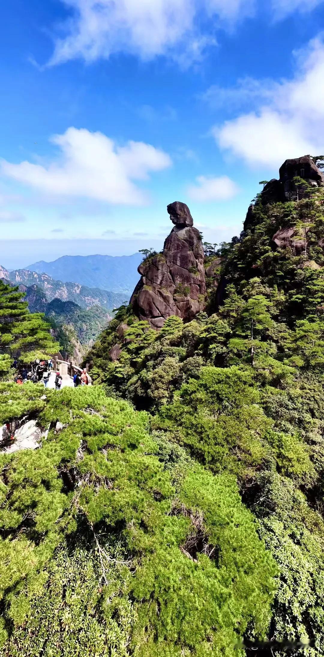 #秋日生活打卡季#杨绛先生曾言：“人这一辈子，就是一个过程。没有永远盛开的花，也