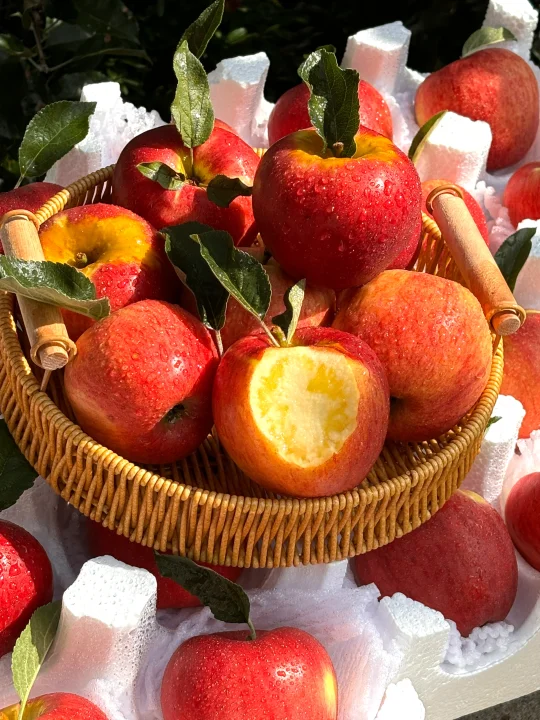 🍎苹果季的苹果，甜度爆表，一口惊艳！
