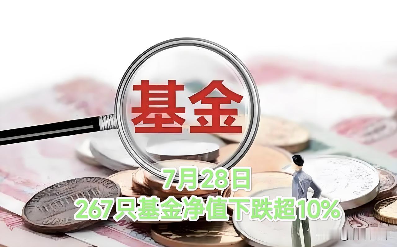 基金重仓抱团股出现踩踏——7月28日，267只基金当日净值跌幅超过10%！
这个