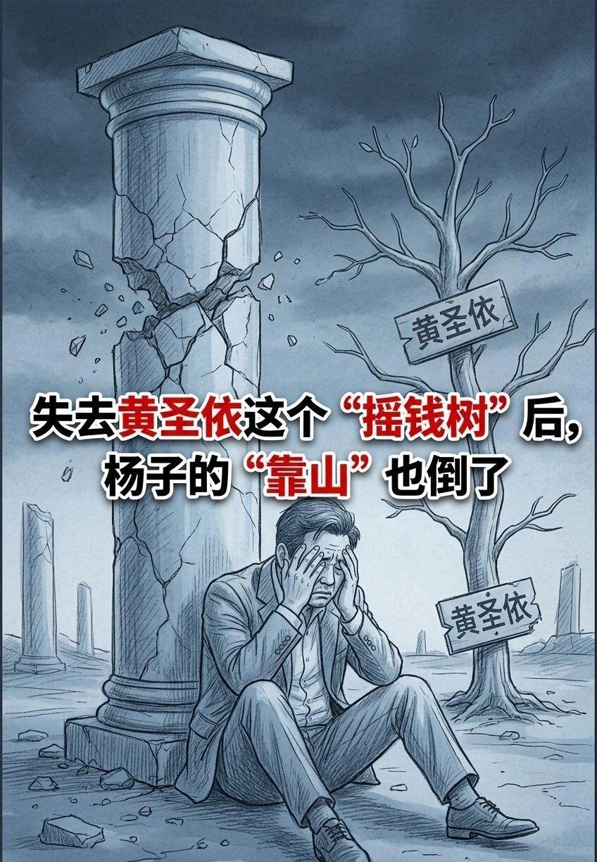 失去黄圣依这个摇钱树后，杨子的靠山也倒了
杨子 黄圣依 明星不止AB面 明星大侦