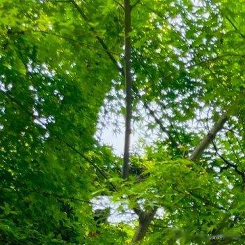 1、厕所不宜开在西南方在八卦中，房子的西南方向是坤卦，它代表了房子里女主人的信息