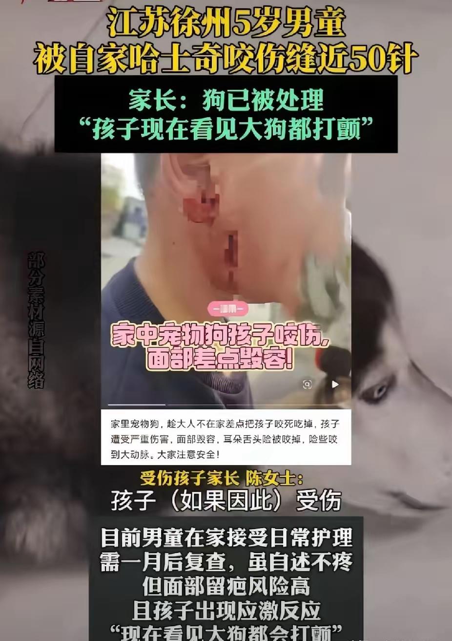 [月亮]“我家狗不咬人”江苏徐州陈女士养了一只温顺的哈士奇，4.18日她5岁的儿