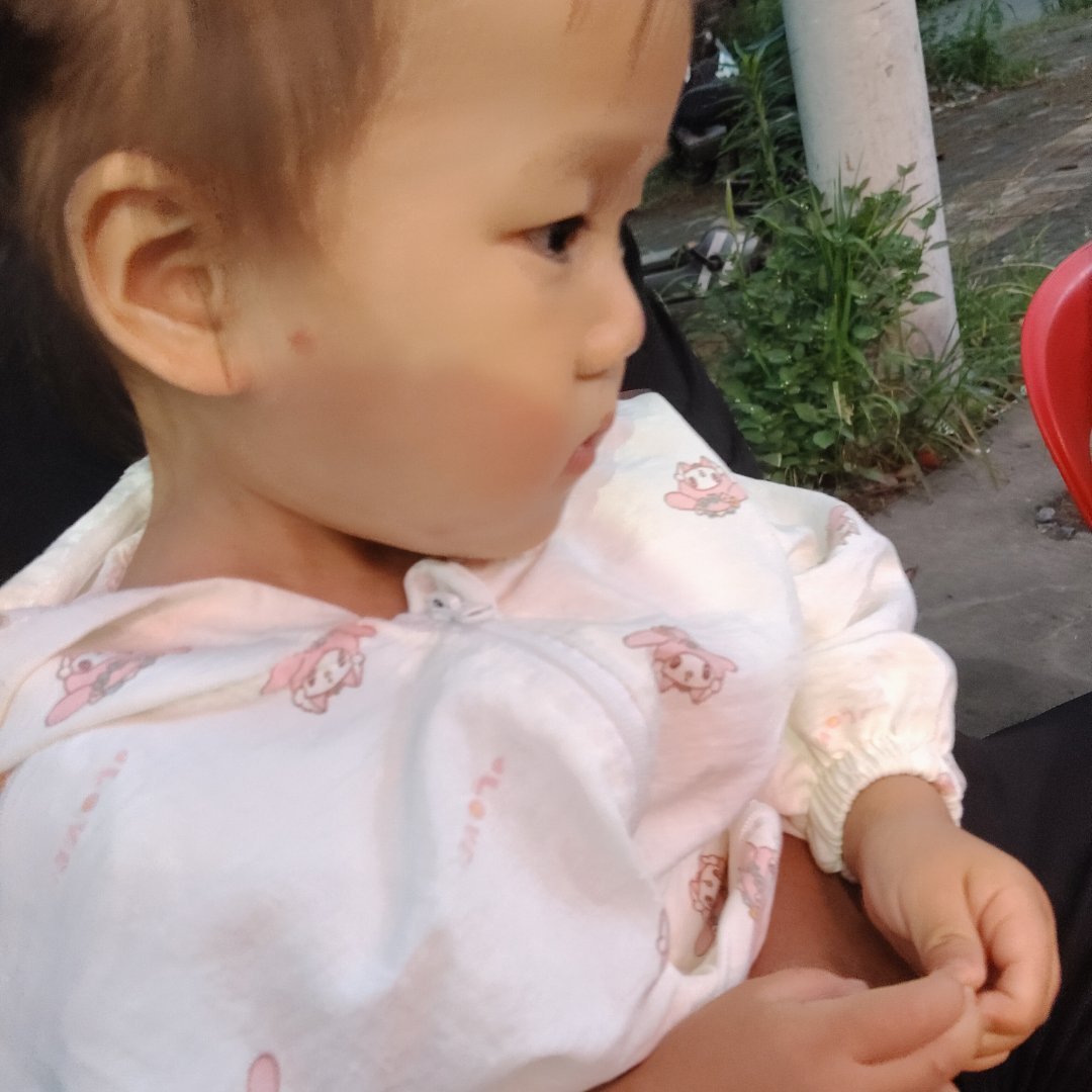 小呆呆 