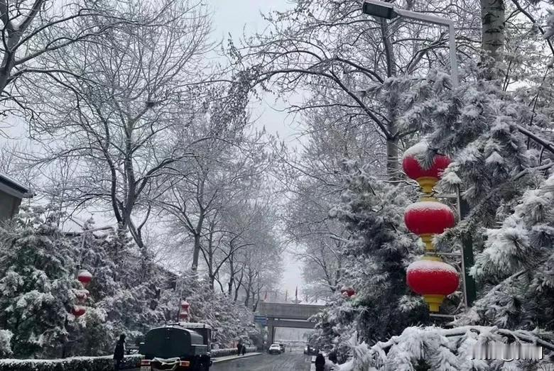 【临江仙•踏雪寻梅何处走】
踏雪寻梅何处有，冰封雪裹诚然。
寒风傲立透红颜。
冷