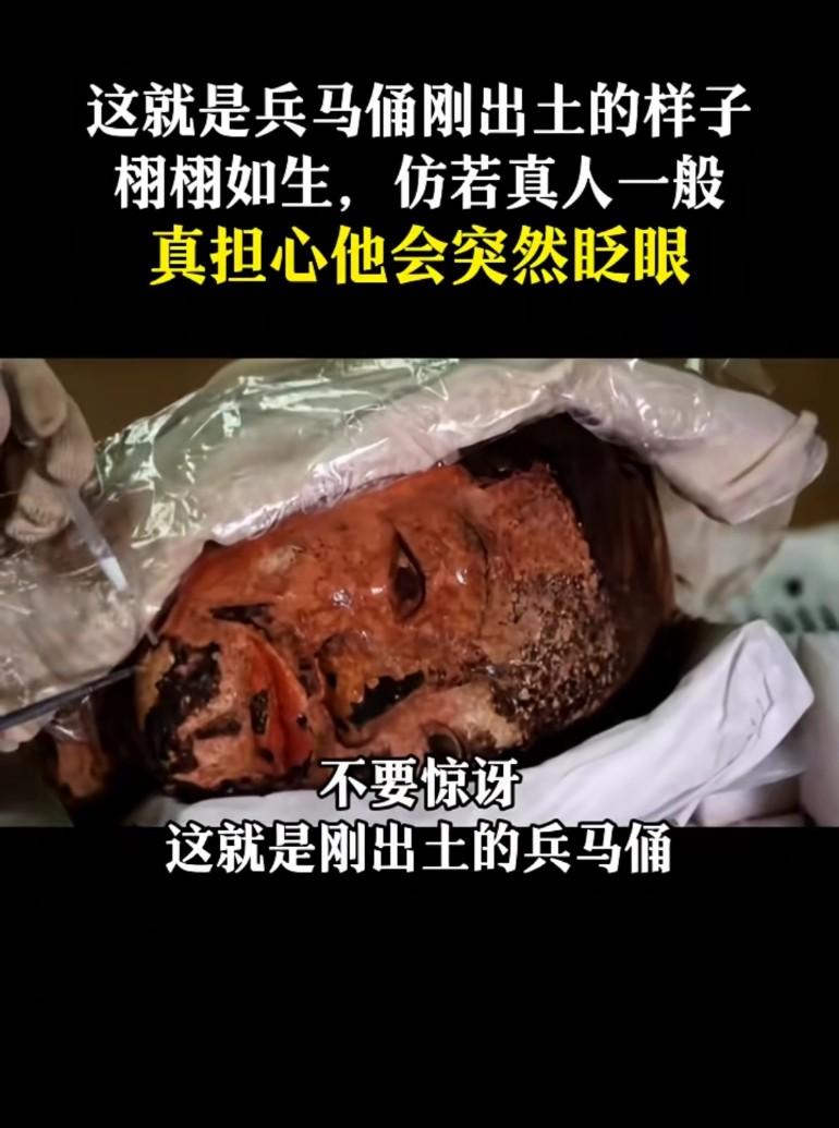 这就是兵马俑刚出土的样子，栩栩如生，仿若真人一般，真担心他会突然眨眼
难怪有人以