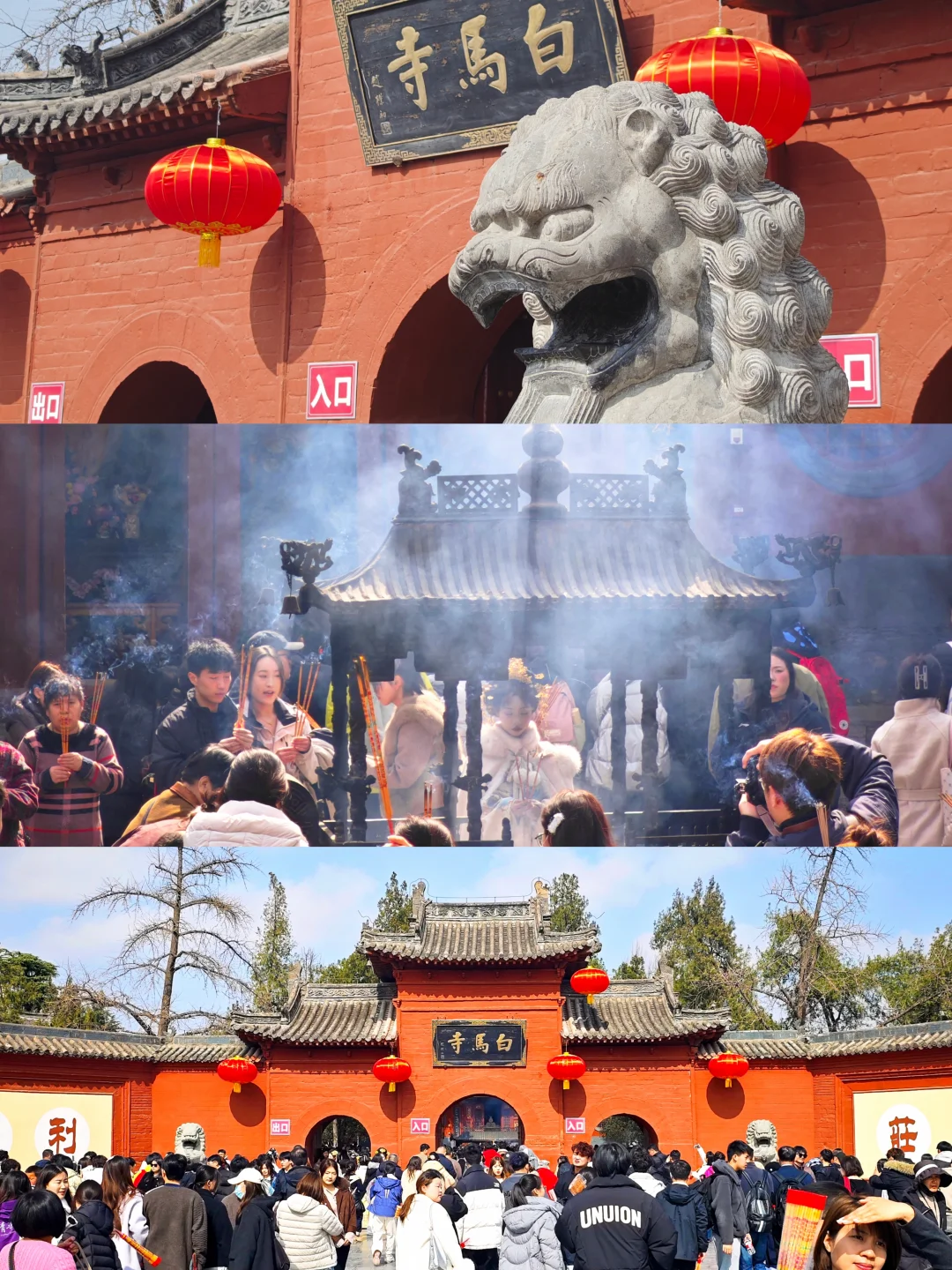 洛阳旅游必打卡的精神避难所