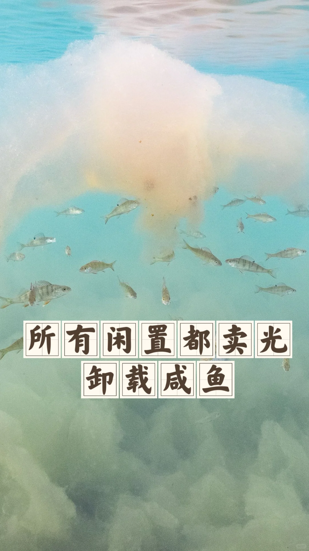 省钱经544:闲置值十万，咸鱼卖了两万